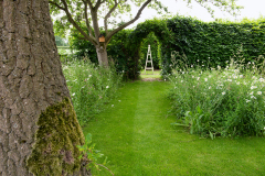 Janine-Crimmins-Garden-Design-Cheshire-11