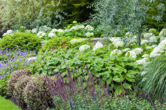 Janine-Crimmins-Garden-Design-Cheshire-34