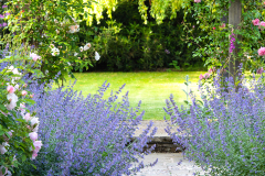 Janine-Crimmins-Garden-Design-Cheshire-71