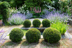 Janine-Crimmins-Garden-Design-Cheshire-72