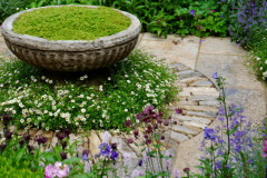 Janine-Crimmins-Garden-Design-Cheshire-81